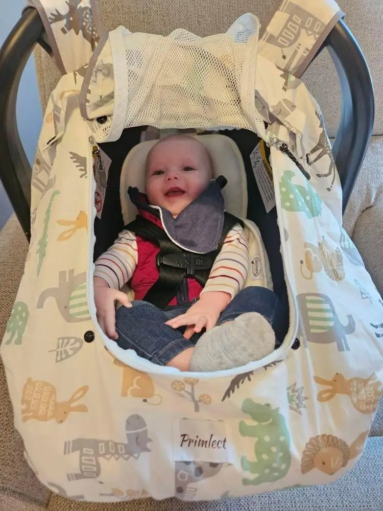Beavtaens Minky Baby Car Seat Cover